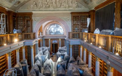 Műemléki faanyagvédelem, állományvédelem és fertőtlenítés a Pannonhalmi Főapátsági Könyvtárban